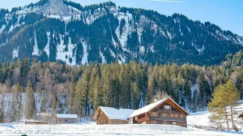 Traditionelles Holzhaus in verschneiter Berglandschaft, umgeben von Nadelbäumen unter blauem Himmel.