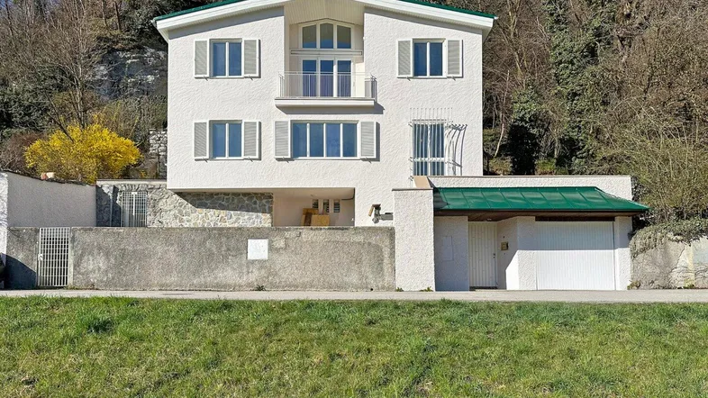 Freistehendes Haus mit weißer Fassade, grünem Dach und integrierter Garage vor bewaldetem Hang.