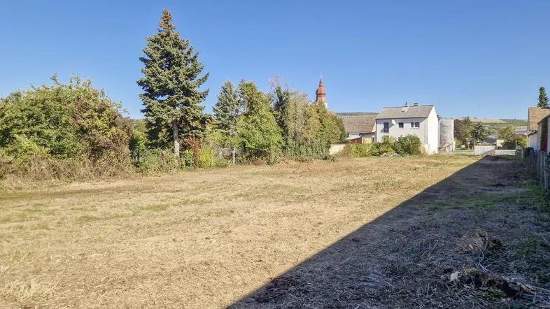 Leeres Grundstück mit trockenem Gras, umgeben von Bäumen und Blick auf entfernte Gebäude.