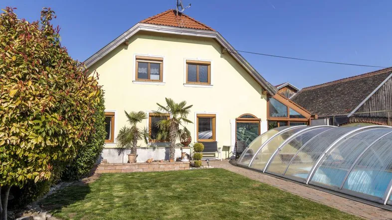 Gepflegter Gartenbereich mit Rasenfläche, Palmen und überdachtem Swimmingpool neben dem Haus.