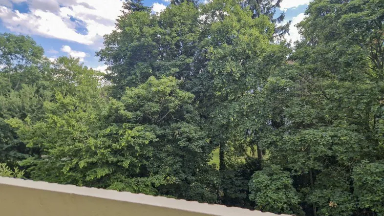 Blick von einem Balkon auf üppiges Grün und einen blauen Himmel mit Wolken.