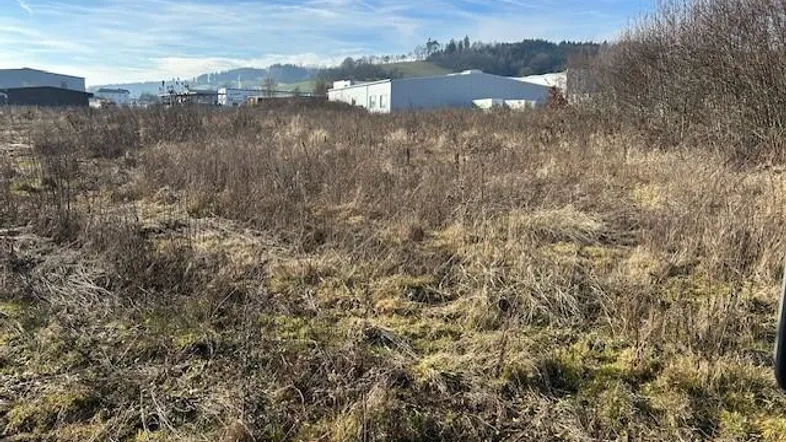 Unbebautes Grundstück mit trockener Vegetation und Industriegebäuden im Hintergrund unter blauem Himmel.