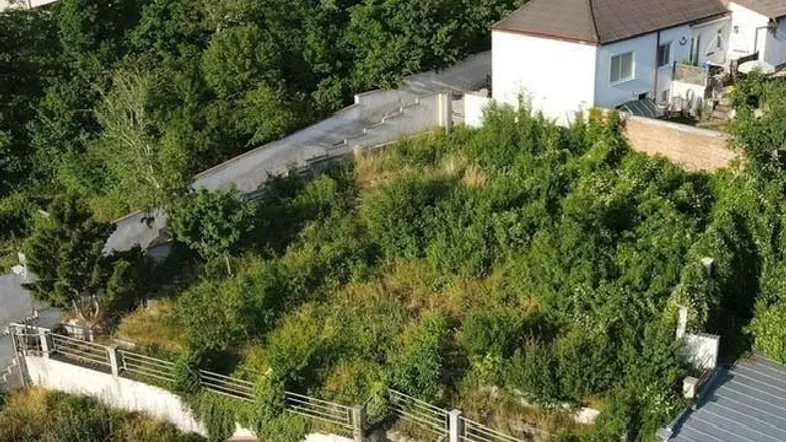 Luftaufnahme eines bewachsenen Grundstücks in einer Wohngegend mit umliegenden Häusern und viel Grün.