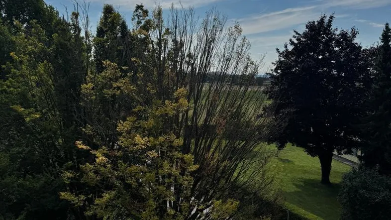 Aussicht