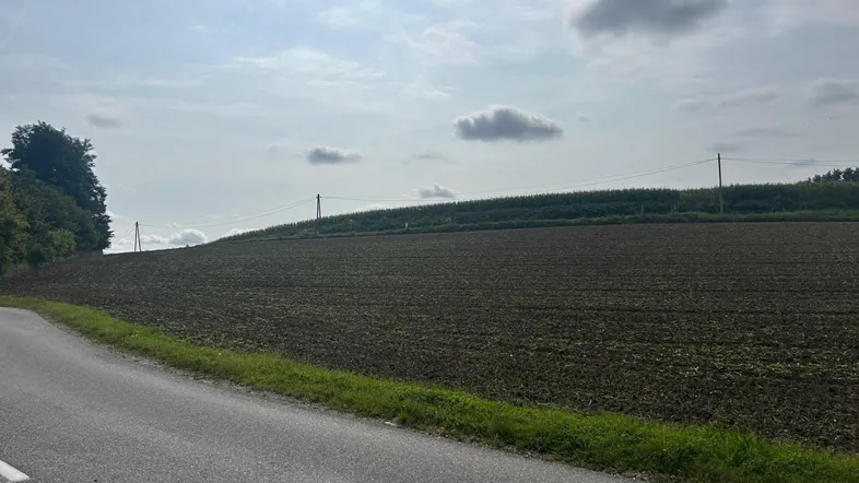 Eine weite landwirtschaftliche Fläche grenzt an eine Straße unter einem bewölkten Himmel mit Bäumen am Horizont.
