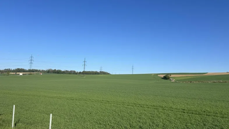 Weitläufige grüne Felder unter einem klaren blauen Himmel mit Strommasten in der Ferne.