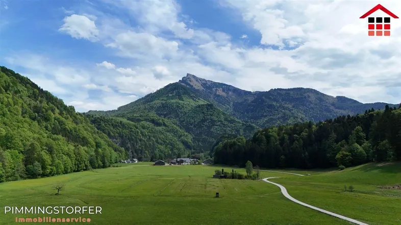 Weitläufige Landschaft mit grünen Wiesen, bewaldeten Bergen und einem idyllischen Anwesen im Tal.