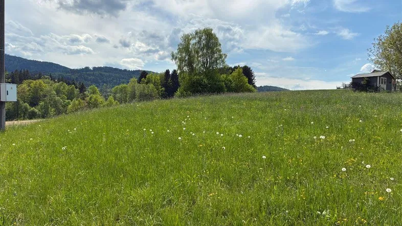 Weitläufige grüne Wiese mit Hügellandschaft und bewölktem Himmel, ideal für Naturliebhaber.
