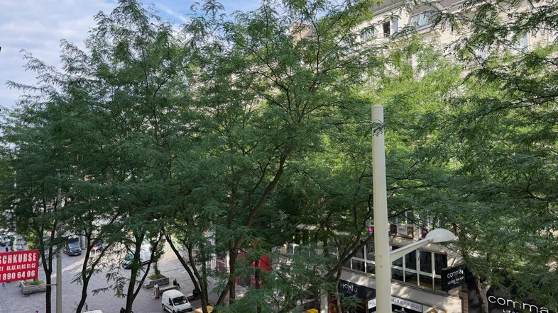 Blick von oben auf eine belebte Stadtstraße mit vielen Bäumen und Gebäuden im Hintergrund.
