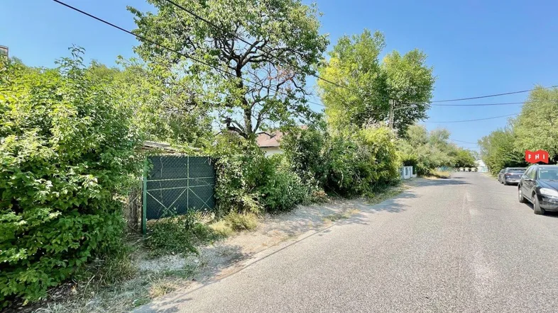 Blick auf die Straße mit einem Zaun und üppiger Vegetation, ein Haus ist im Hintergrund sichtbar.