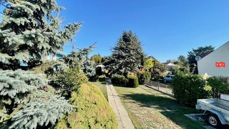Langer Gartenweg führt durch das grüne Grundstück mit hohen Bäumen und Sträuchern unter blauem Himmel.