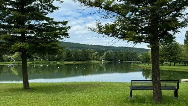 Ruhige Seenlandschaft mit grünen Bäumen und einer Bank am Ufer unter blauem Himmel.