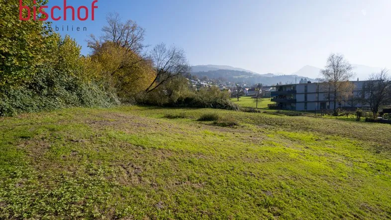 Grüne Wiese mit Blick auf die umliegende Landschaft und entfernte Gebäude unter blauem Himmel.