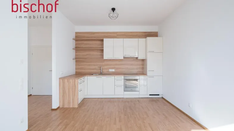 Moderne Küchenzeile in einem hellen Raum mit Holzdekor und Laminatboden, ideal für offenes Wohnen.
