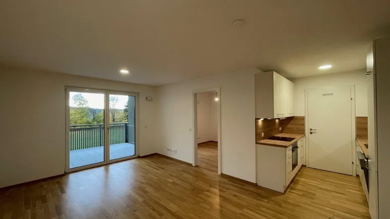 Heller Wohn- und Essbereich mit Parkettboden, integrierter Küche und Zugang zum Balkon.