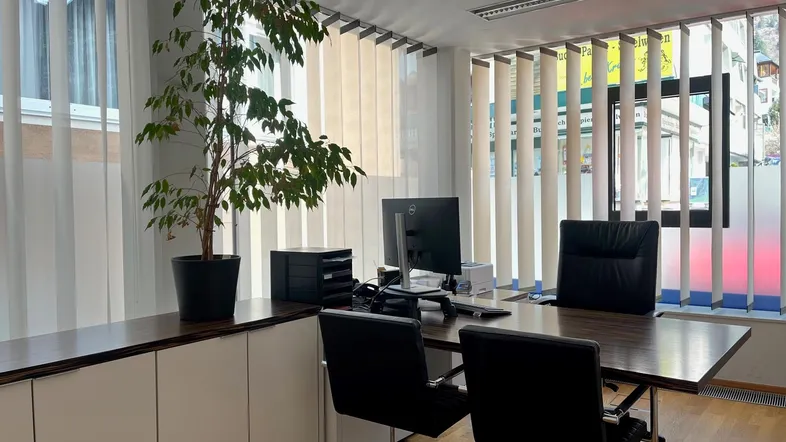 Modernes Büro mit großem Schreibtisch, Bürostühlen und einem Ficusbaum, gut beleuchtet durch vertikale Jalousien.