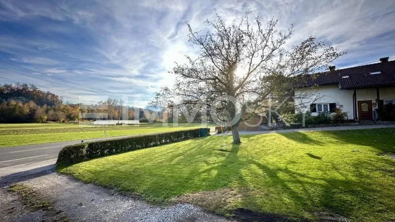 Sonniger Vorgarten mit gepflegtem Rasen, Hecke und einem Baum vor dem Haus.