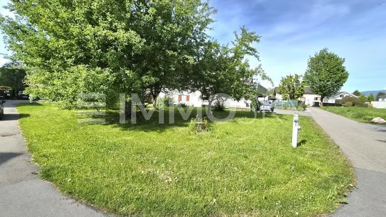 Grüne Rasenfläche mit Bäumen und einer Straße, umgeben von Wohnhäusern unter blauem Himmel.