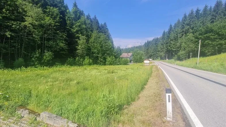 Landstraße durch grüne Wiesen und dichte Wälder mit einem Haus im Hintergrund und Bergblick.