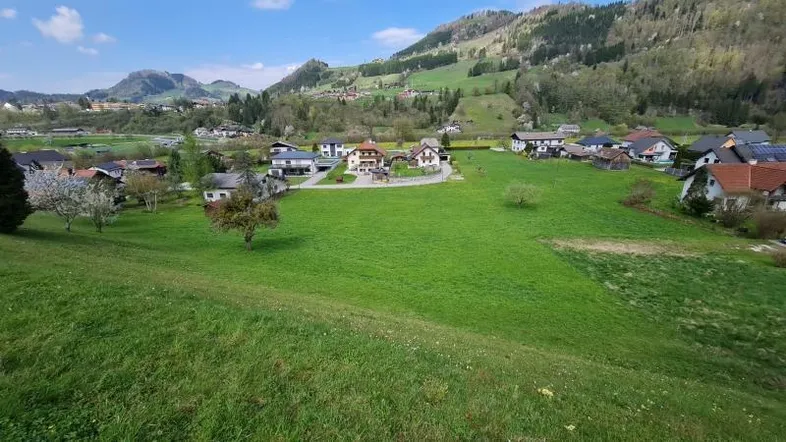 Weitläufige grüne Landschaft mit Wohnhäusern und Bergen im Hintergrund unter blauem Himmel.