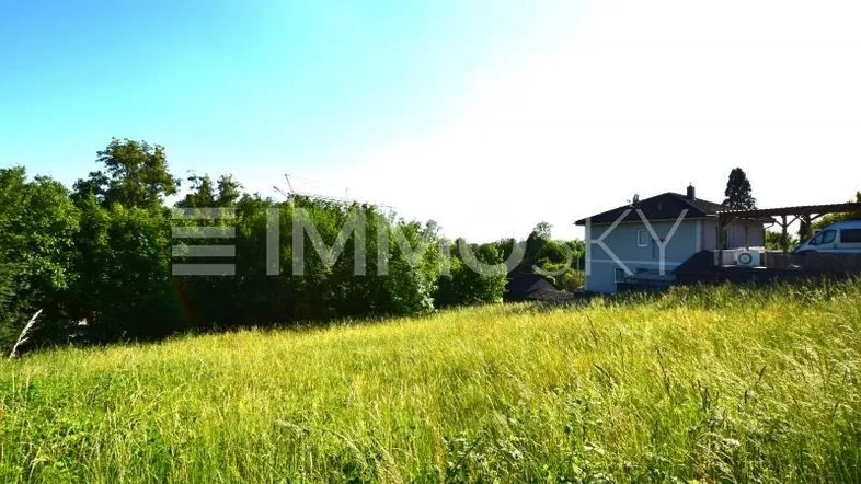 Weitläufiges grünes Feld mit einem Haus und Bäumen im Hintergrund unter klarem Himmel.