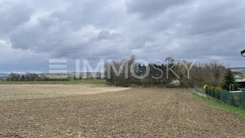 Weitläufiges Feldgrundstück unter bewölktem Himmel mit Blick auf die weite Landschaft.