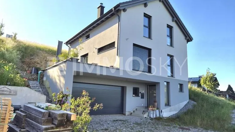 Modernes Einfamilienhaus mit integrierter Garage und Hanglage unter blauem Himmel.