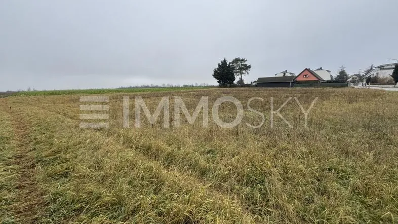 Weitläufiges Grundstück mit trockenem Gras und Blick auf die umliegende Landschaft sowie entfernte Häuser.