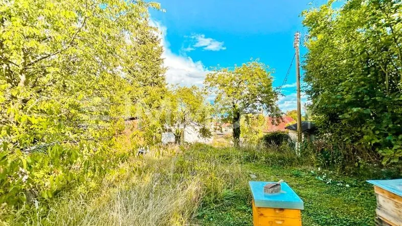 Naturbelassener Gartenbereich mit hohen Gräsern, Bäumen und Bienenstöcken unter blauem Himmel.