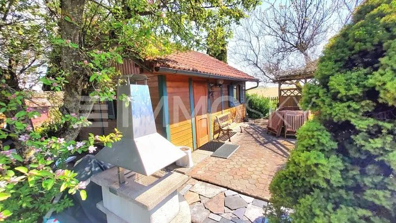 Grill Terrasse mit Blick zur Weinlaube