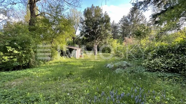Großer Gartenbereich mit üppigem Grün, Bäumen und einem kleinen Schuppen im Hintergrund.