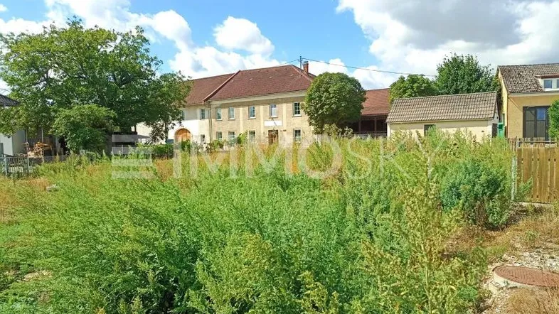 Überwuchertes Grundstück mit einem großen Gebäude und weiteren Häusern im Hintergrund unter blauem Himmel.