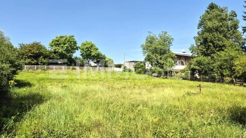 Weitläufiges Grundstück mit grüner Wiese und Baumbestand, ideal für Neubauprojekte.