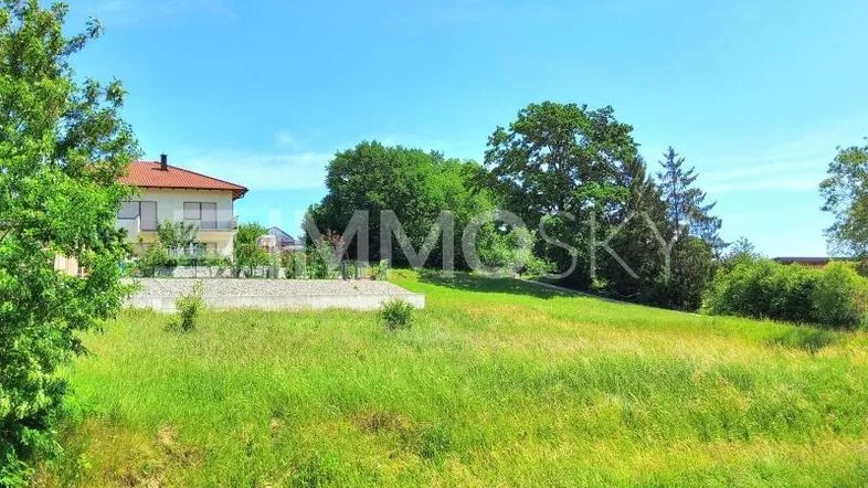 Weitläufiges grünes Grundstück mit einem modernen Haus im Hintergrund unter blauem Himmel.
