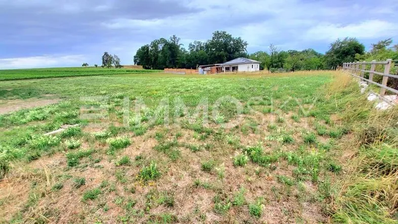 Weitläufiges grünes Feld mit einem einfachen Haus und Bäumen im Hintergrund unter bewölktem Himmel.