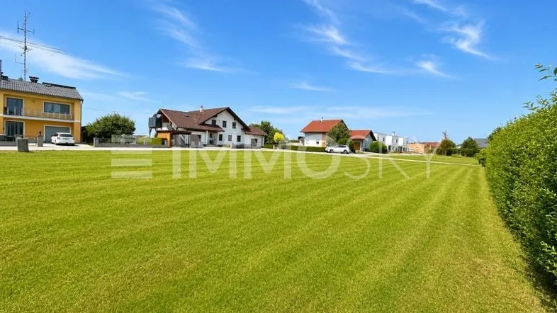 Weitläufige Grünfläche mit gepflegtem Rasen und Wohnhäusern unter blauem Himmel.