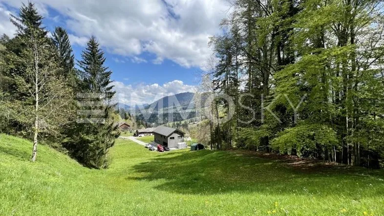 Grüne Wiesen und Bäume mit einem Haus im Tal und Bergen im Hintergrund unter blauem Himmel.