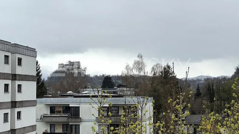 Blick auf umliegende Gebäude und eine entfernte Burg unter bewölktem Himmel.