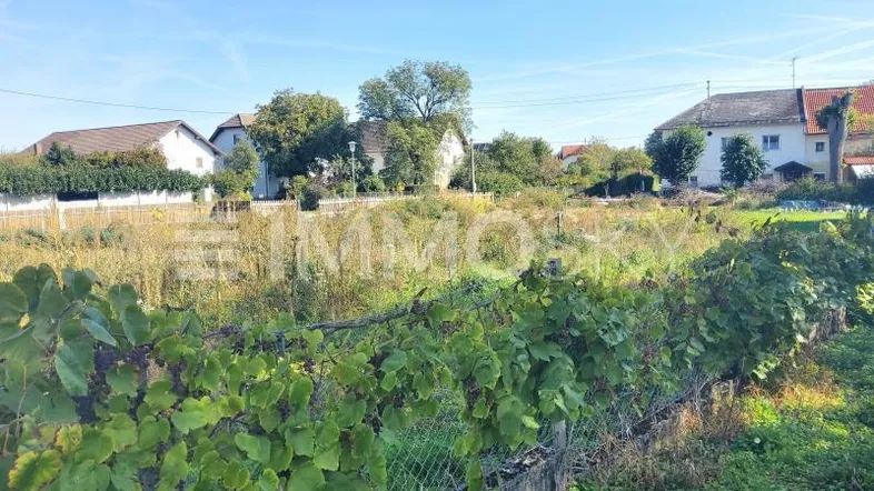 Weitläufiges Grundstück mit Bewuchs und Häusern im Hintergrund unter blauem Himmel.