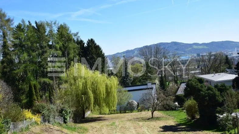 Weitläufiges Grundstück mit grüner Wiese, altem Baumbestand und Fernblick auf die Berge.