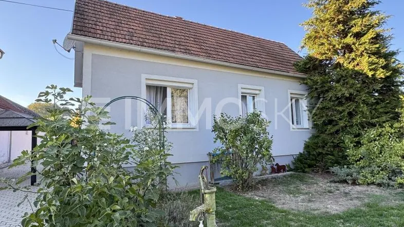 Ansicht des Einfamilienhauses von außen mit Gartenbereich und gepflegter Fassade unter blauem Himmel.