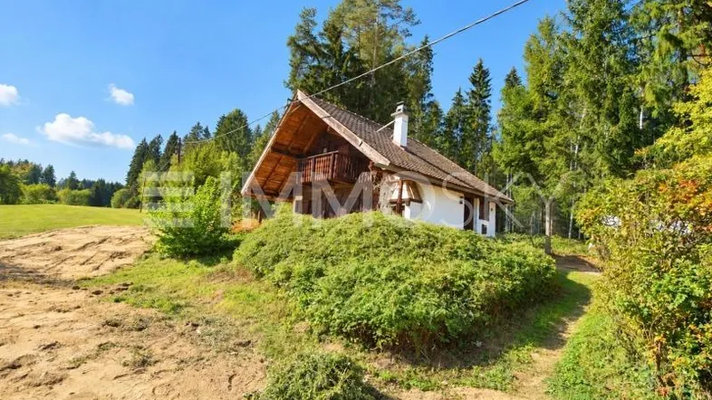 Charmantes Landhaus umgeben von grünen Wiesen und hohen Bäumen unter blauem Himmel.