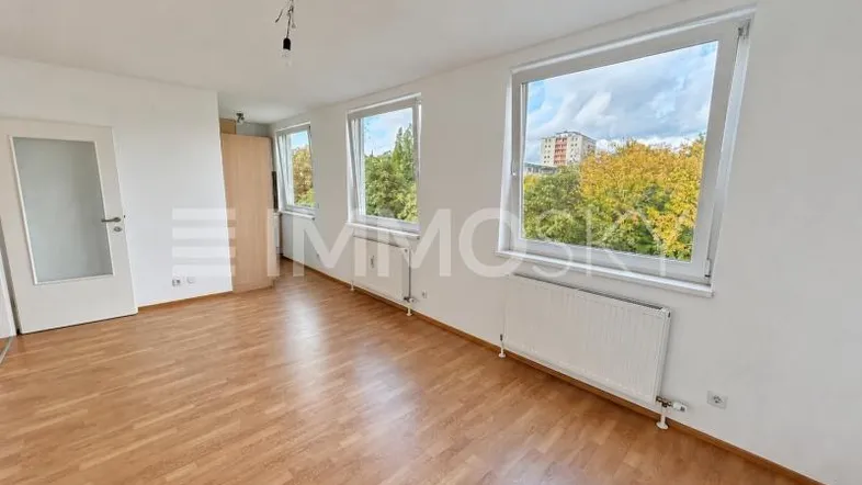 Wohnzimmer mit Küche