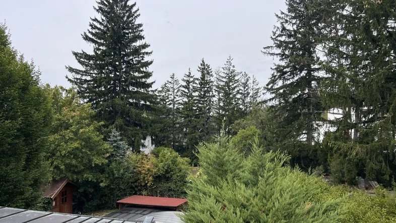 Blick über ein Dach auf eine üppige grüne Landschaft mit hohen Nadelbäumen unter bewölktem Himmel.