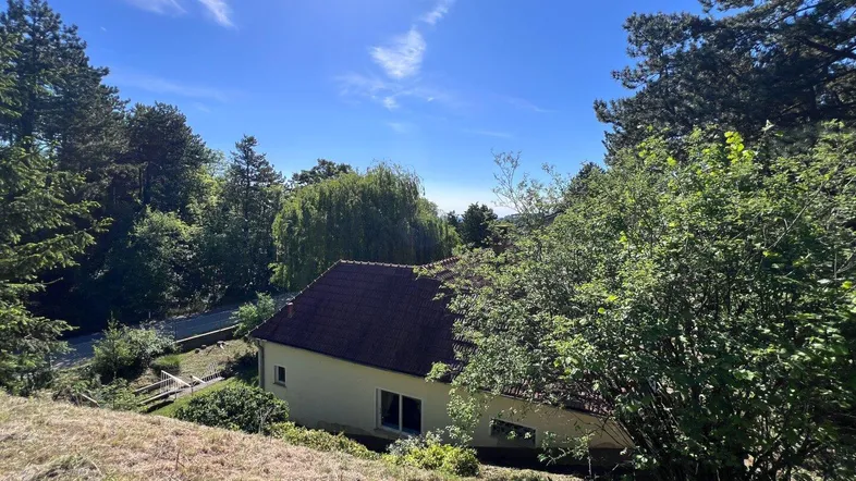 Haus in ländlicher Umgebung, umgeben von Bäumen und viel Grün unter strahlend blauem Himmel.
