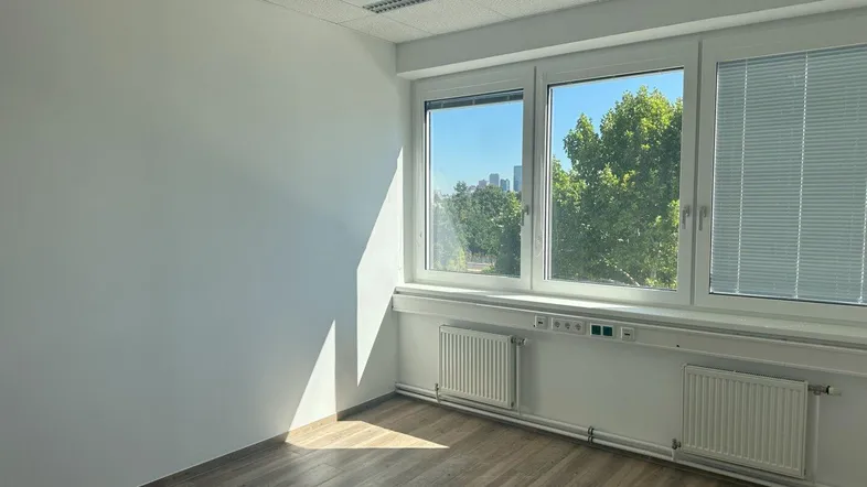 Helles Büro mit großen Fenstern, Laminatboden und Blick ins Grüne, gut gepflegt.