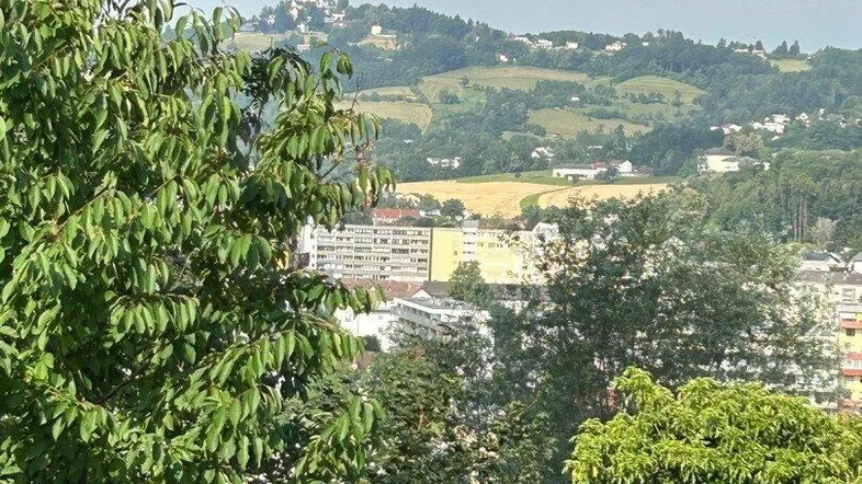 Panoramablick über eine grüne Landschaft mit entfernten Gebäuden und Hügeln unter blauem Himmel.