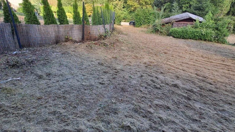 Großer Gartenbereich mit gemähtem Gras, umzäuntem Bereich und einem kleinen Holzschuppen im Hintergrund.