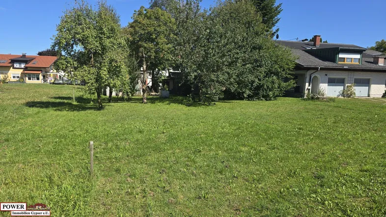 Große Rasenfläche mit Bäumen und einem Haus im Hintergrund, ideal für einen weitläufigen Garten.