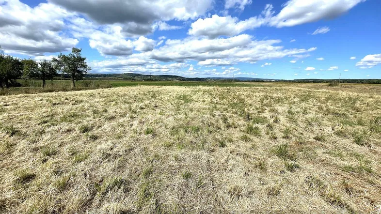 Weitläufiges Feld mit trockenem Gras unter blauem Himmel und Wolken, ideal für ländliche Entwicklung.